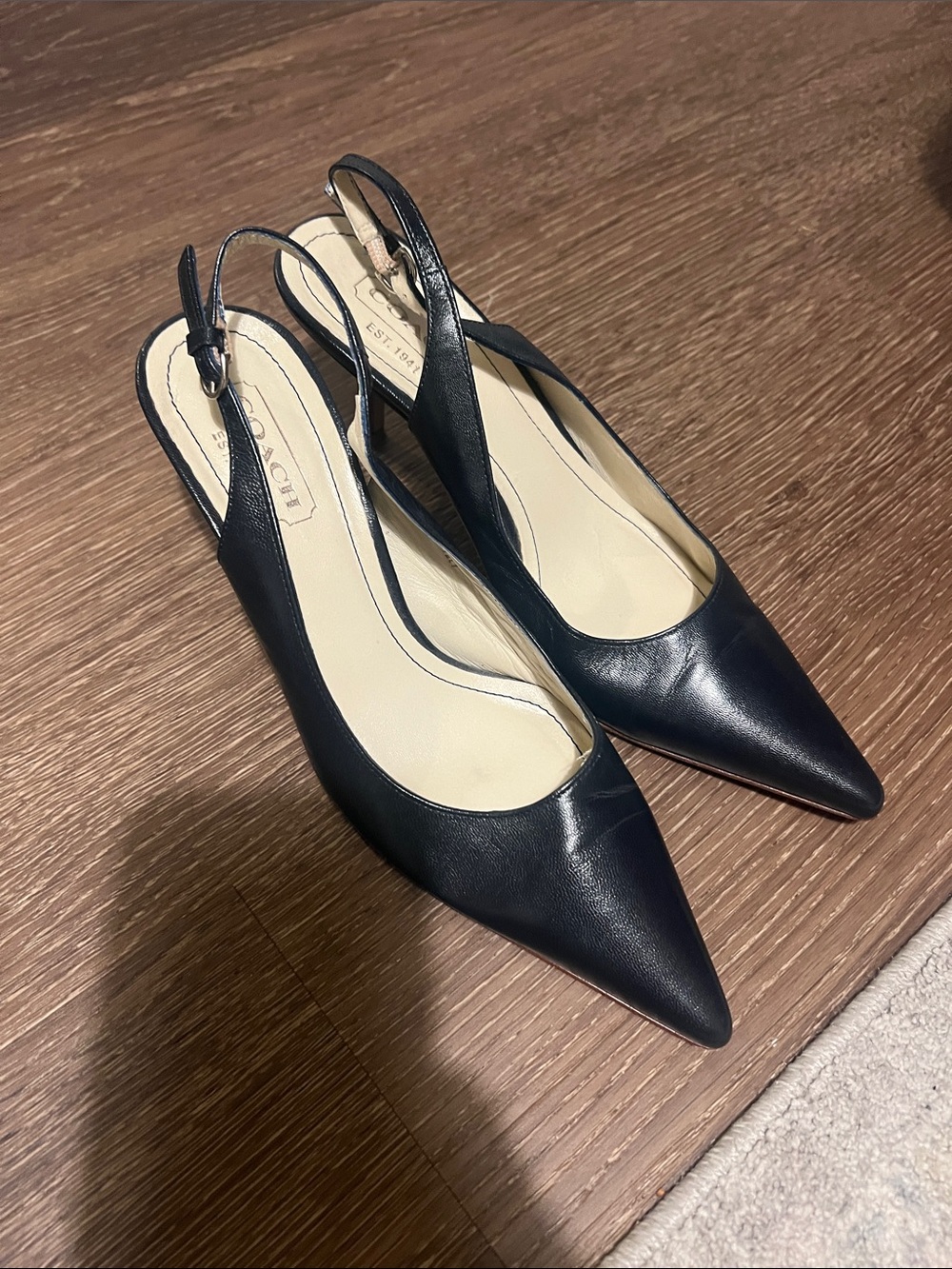 Coach Navy Pointed Slingback Leather Pumps